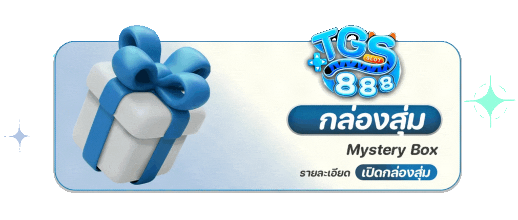 tgs888 กล่องสุ่ม